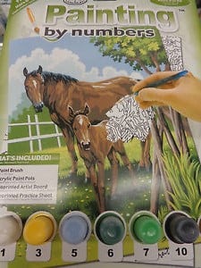 Kreatív festőkészlet - Ló és csikó 