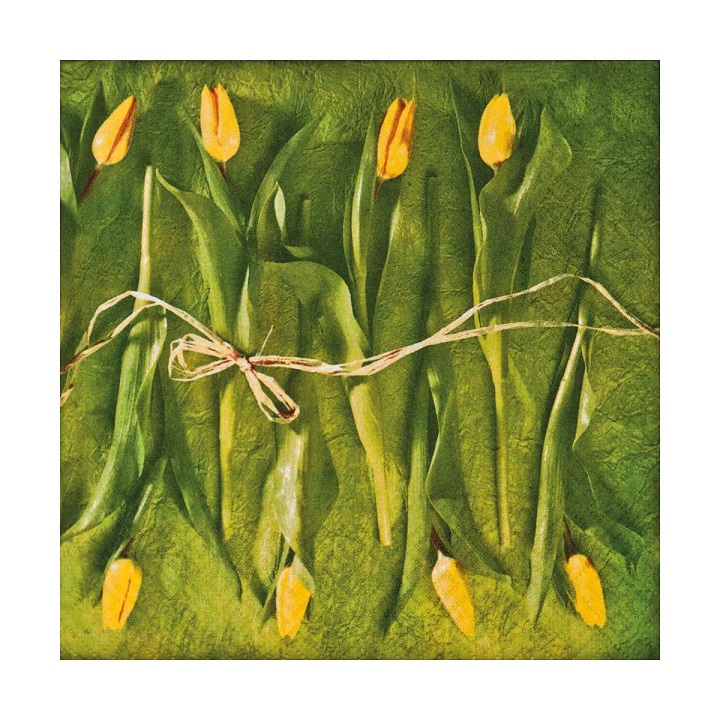 Decoupage szalvéták Fresh Tulips - 1 db